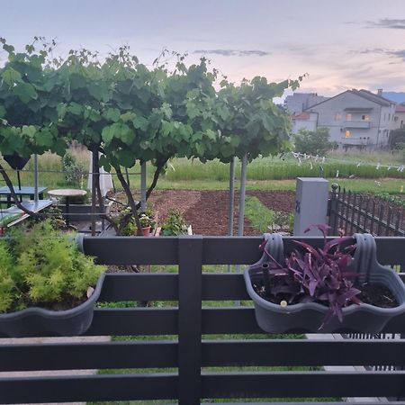 Apartman Dasa Rijeka Buitenkant foto