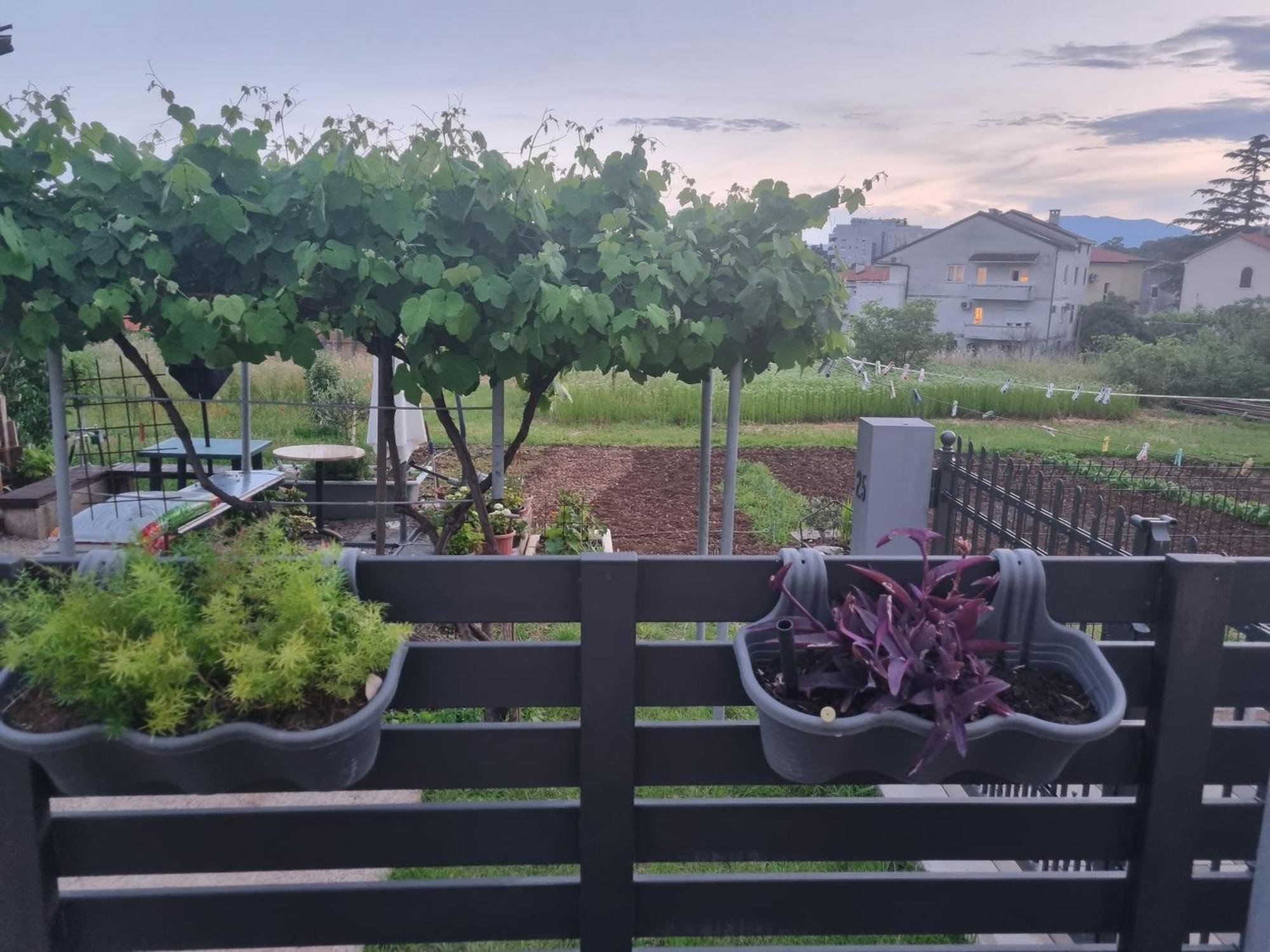 Apartman Dasa Rijeka Buitenkant foto