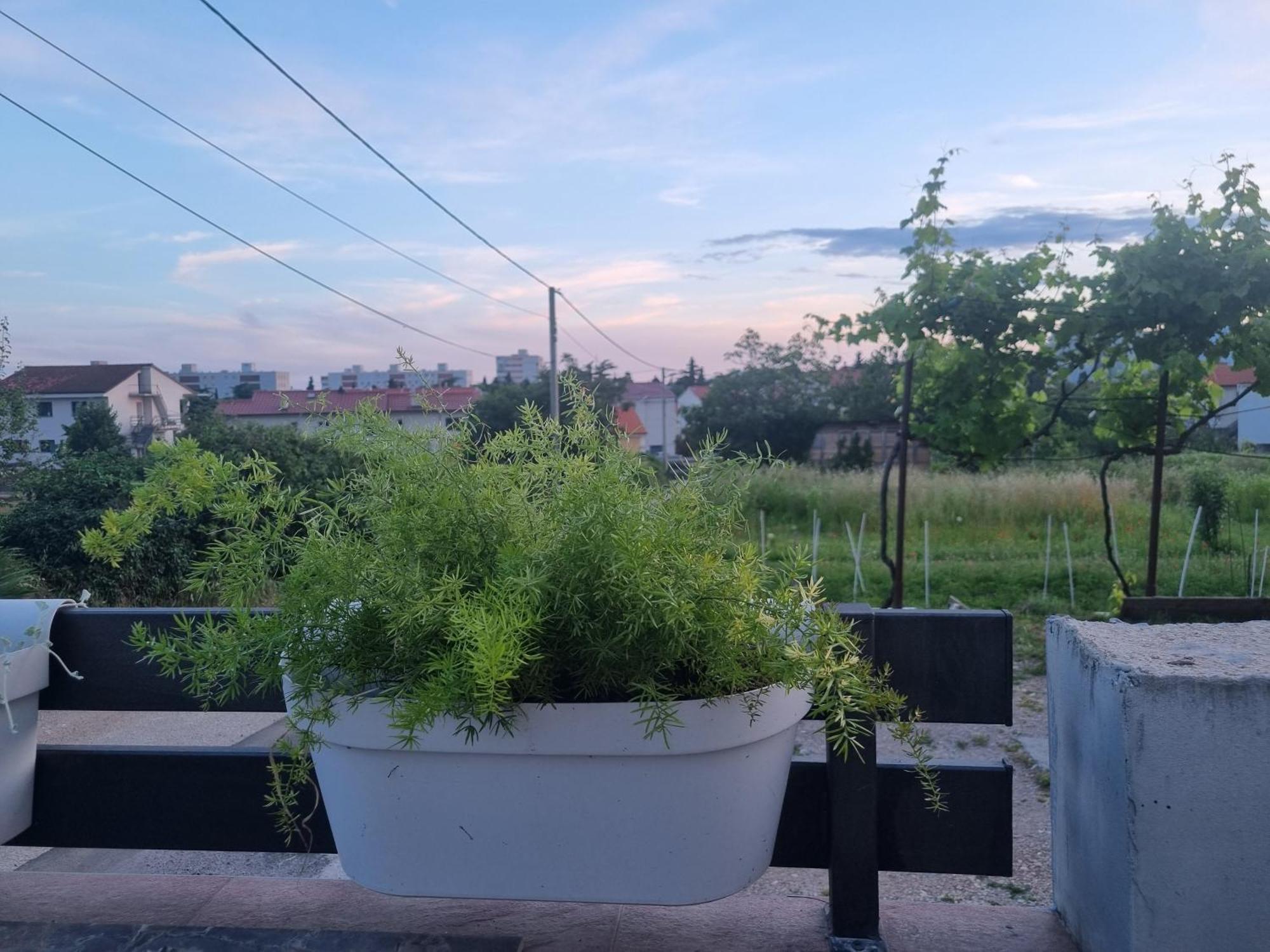 Apartman Dasa Rijeka Buitenkant foto
