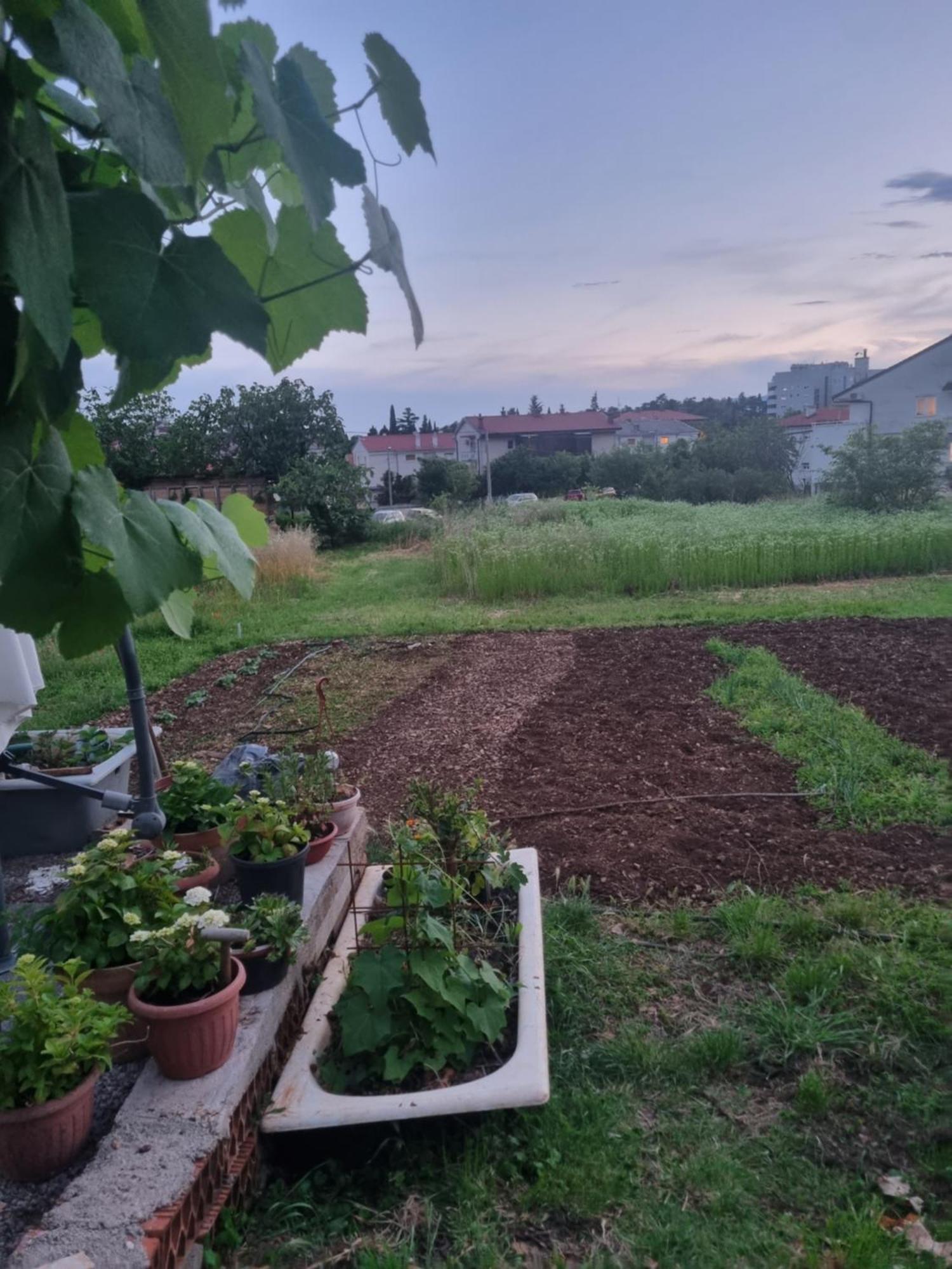 Apartman Dasa Rijeka Buitenkant foto