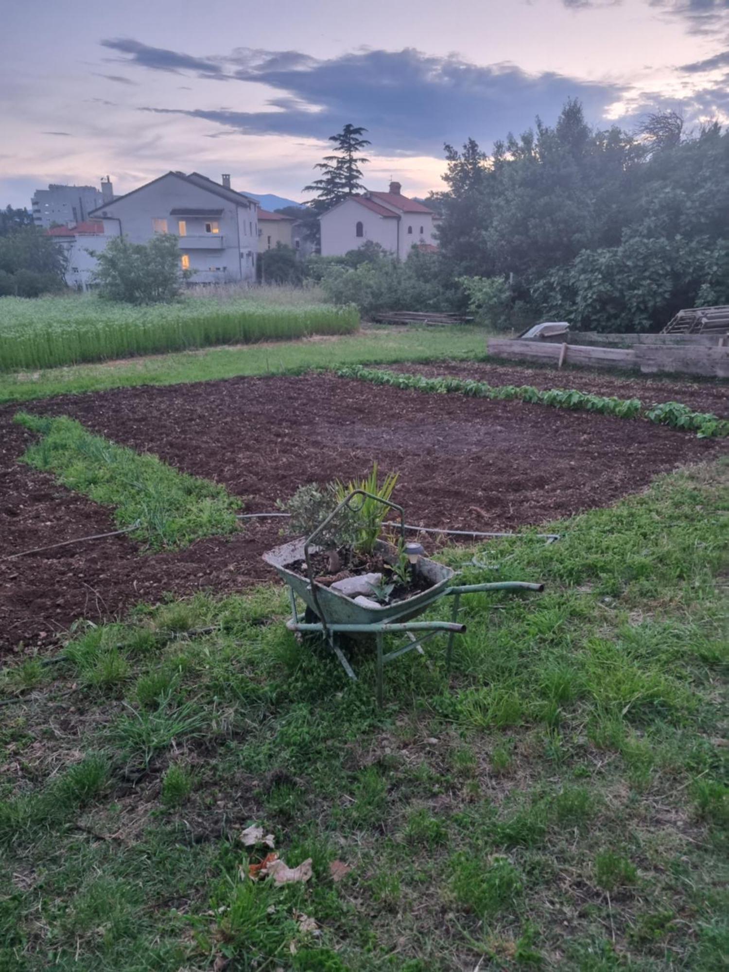 Apartman Dasa Rijeka Buitenkant foto